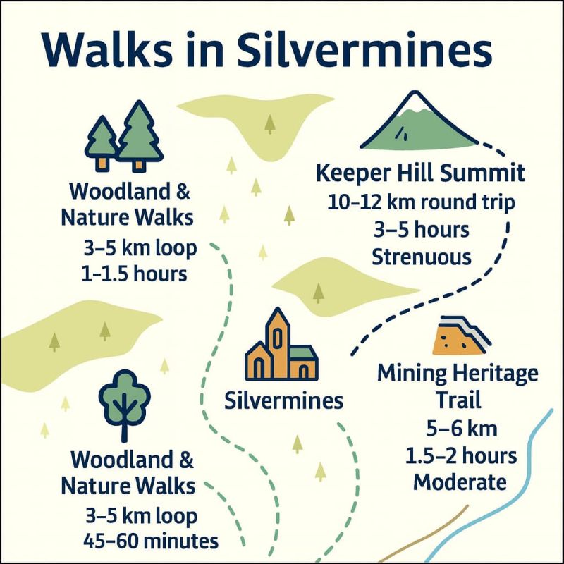 Square walking map of Silvermines trails